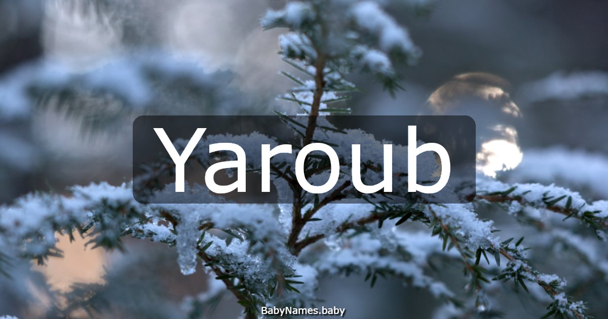 Yaroub