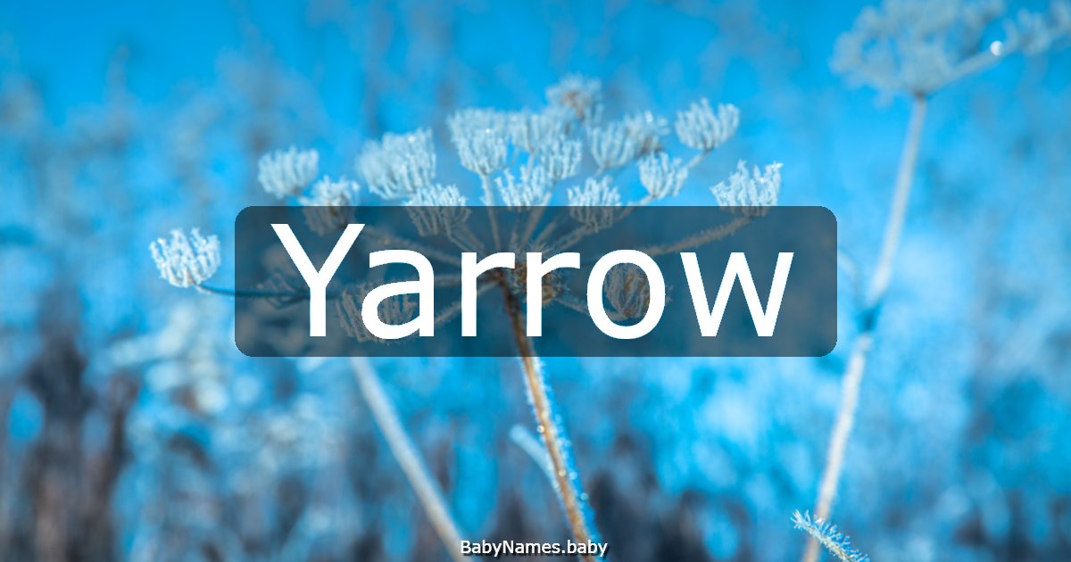Yarrow