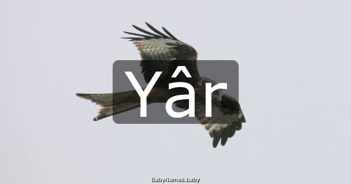 Yâr