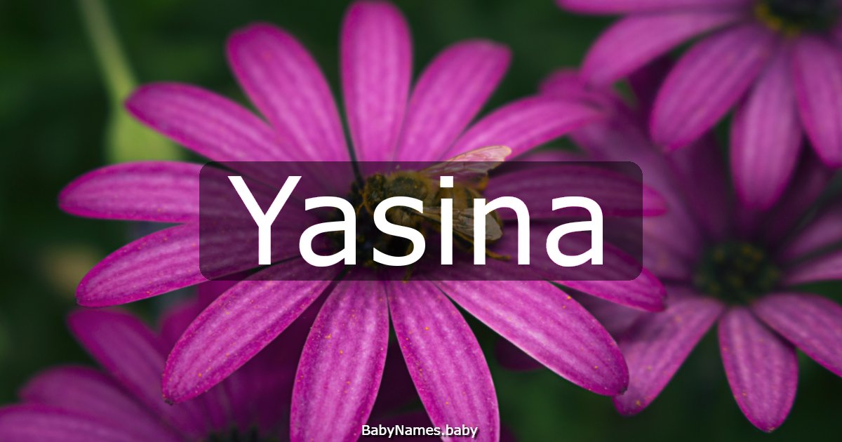 Yasina