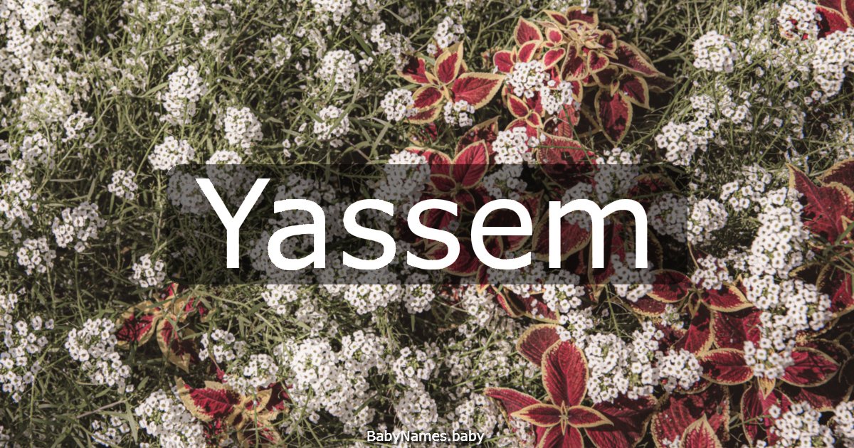 Yassem