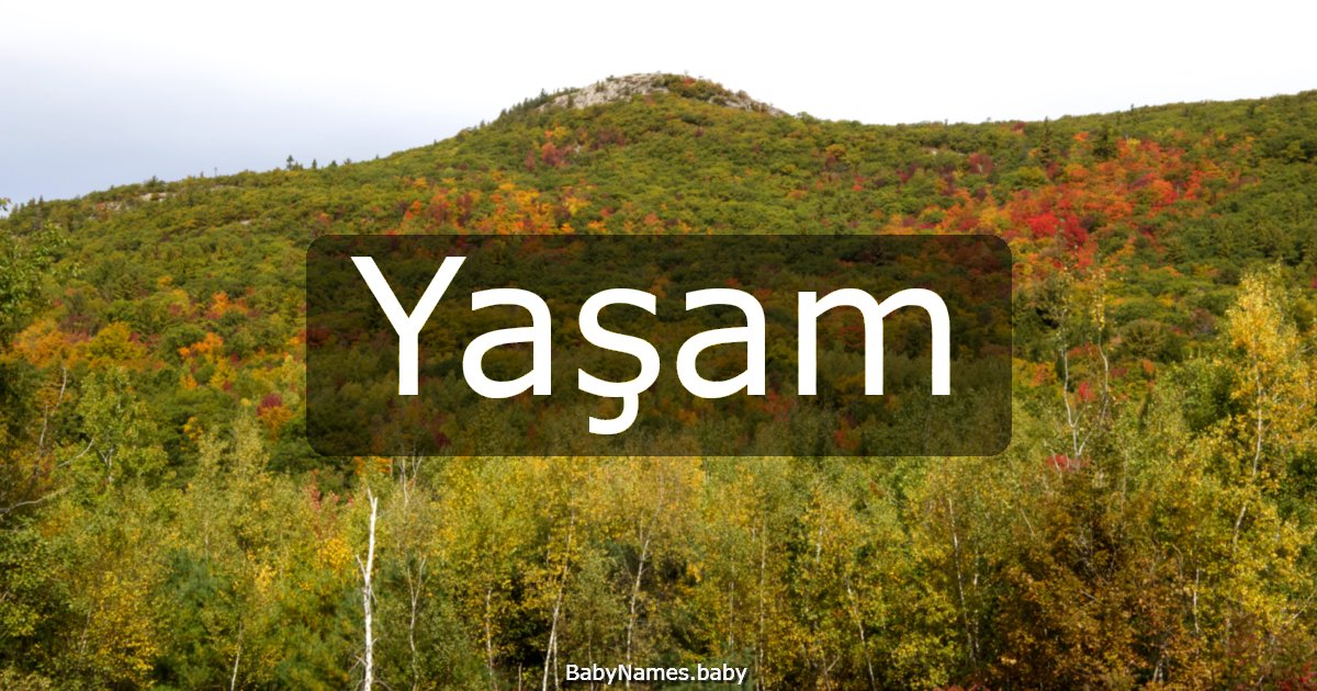 Yaşam