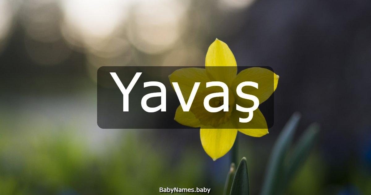 Yavaş