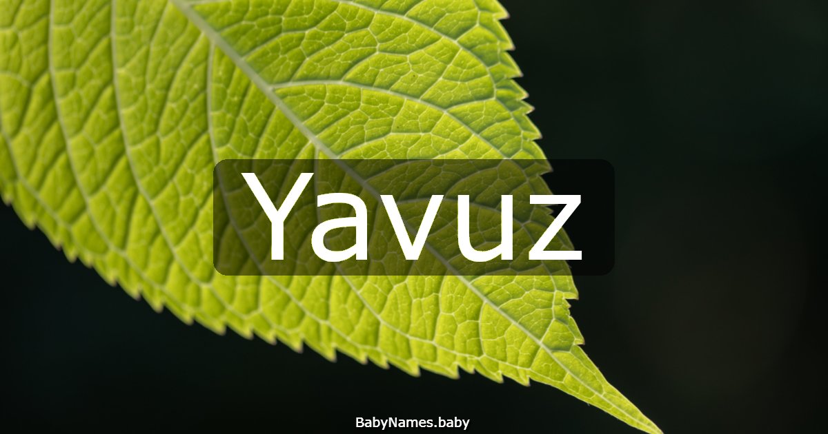 Yavuz