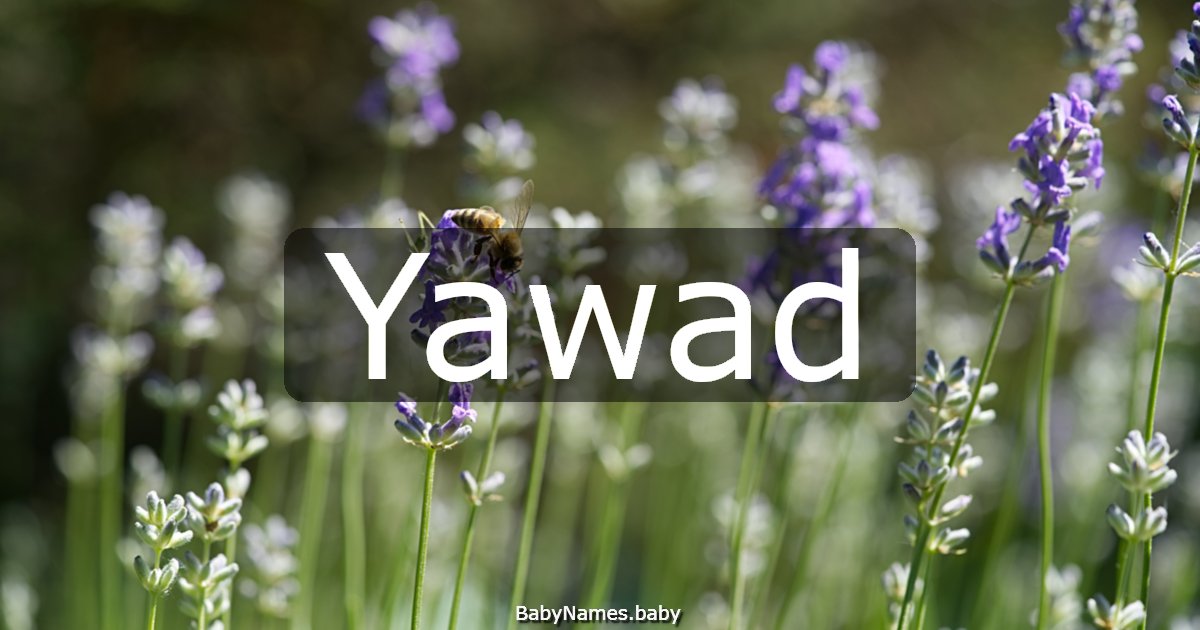 Yawad