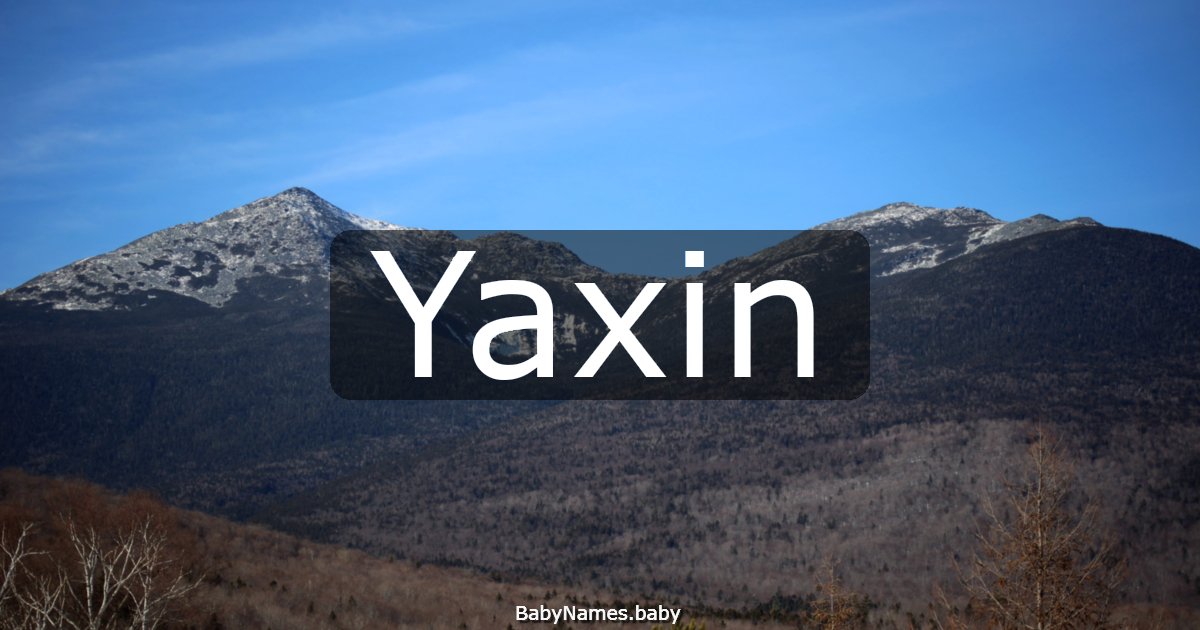 Yaxin