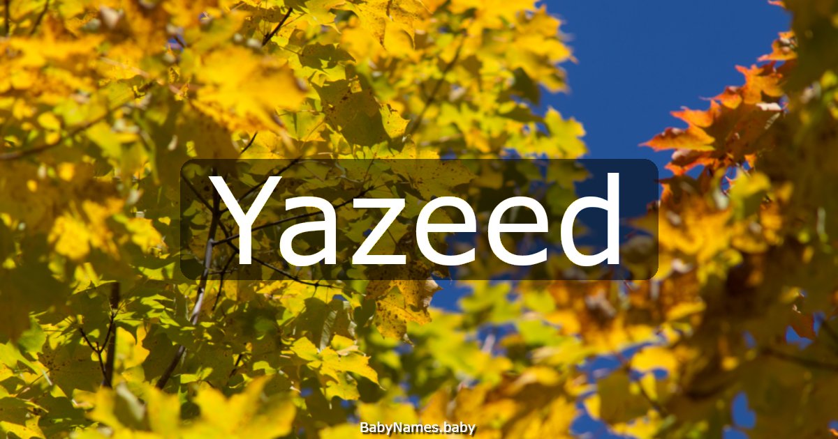 Yazeed