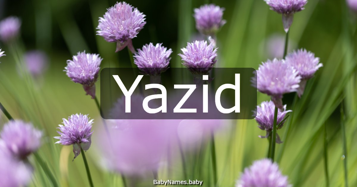 Yazid