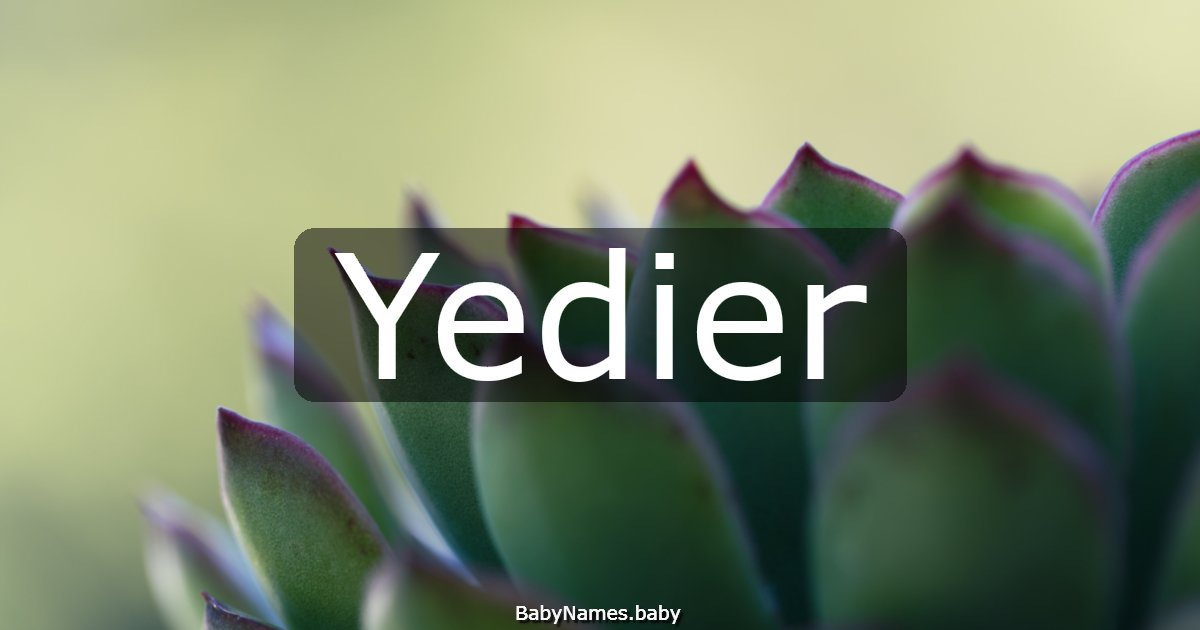 Yedier