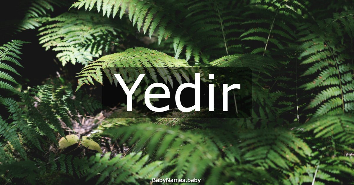 Yedir