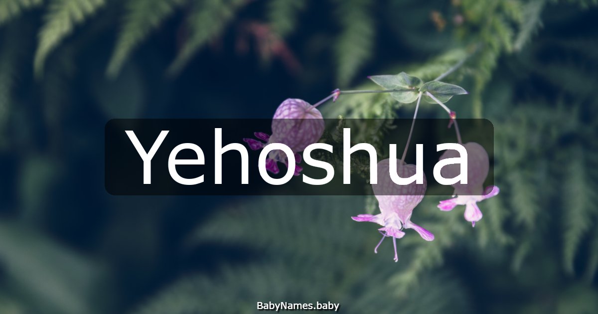 Yehoshua