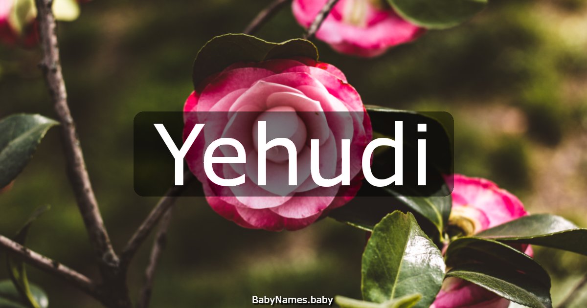Yehudi