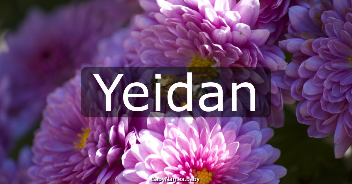 Yeidan