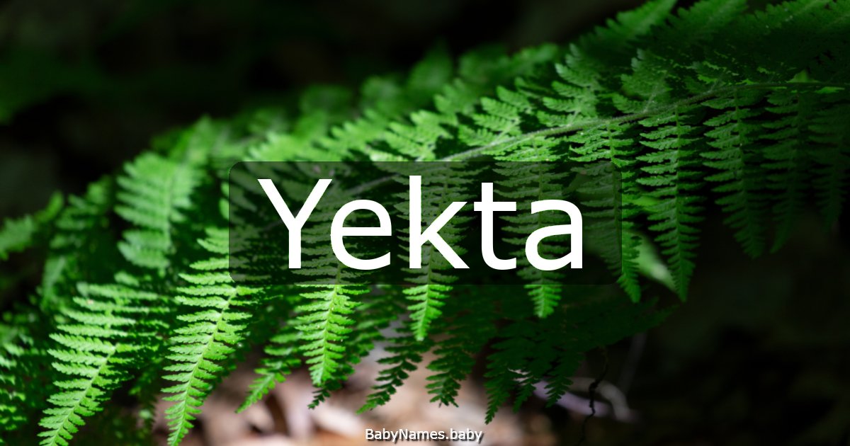 Yekta