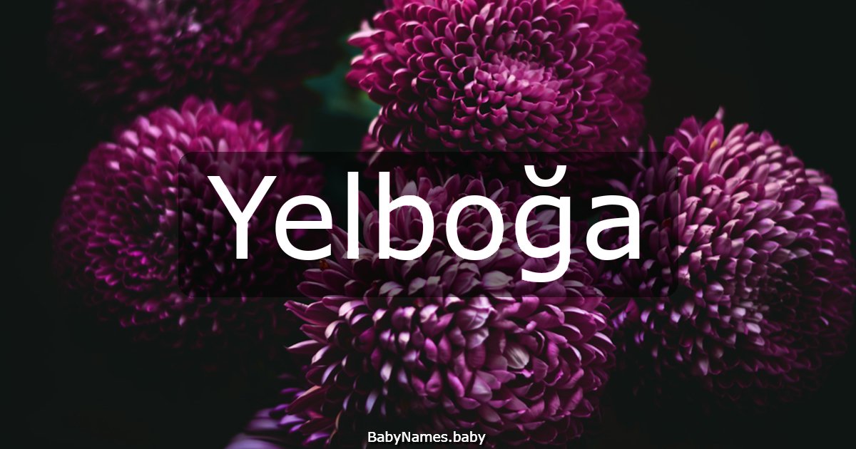 Yelboğa