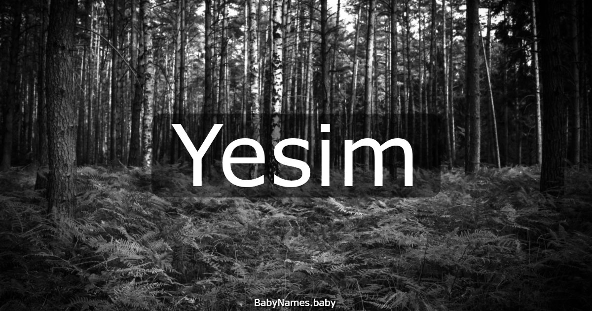 Yesim