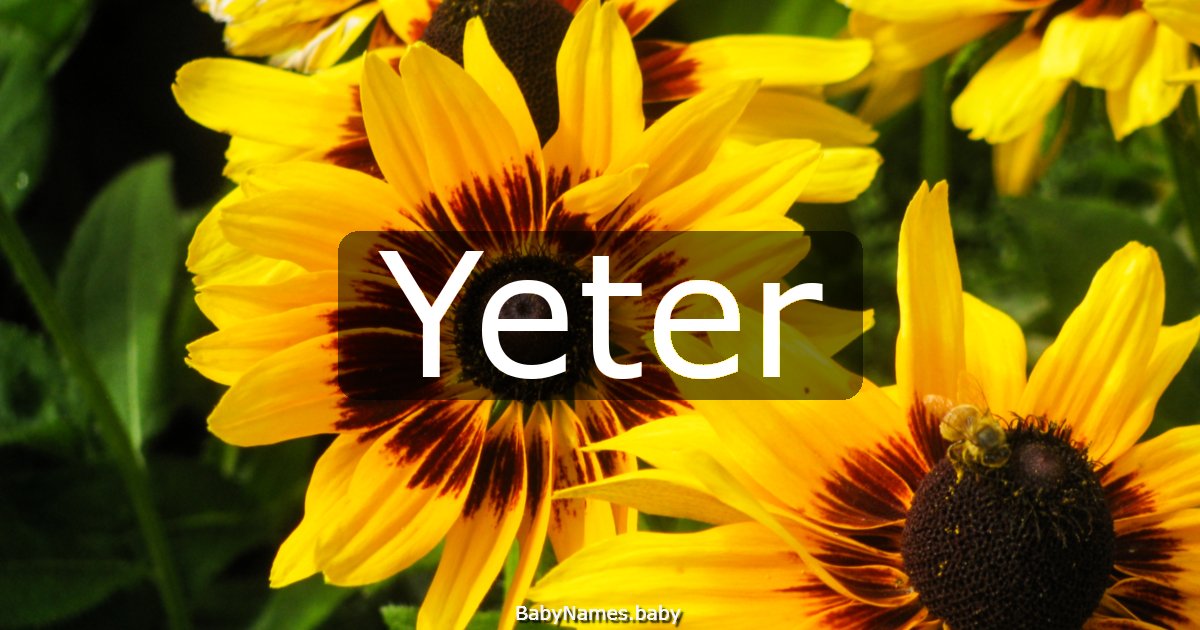 Yeter