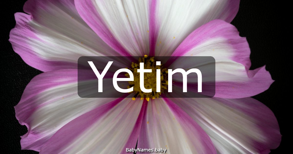 Yetim