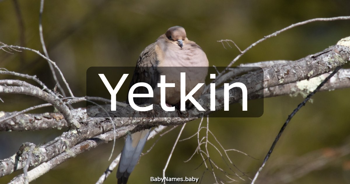 Yetkin