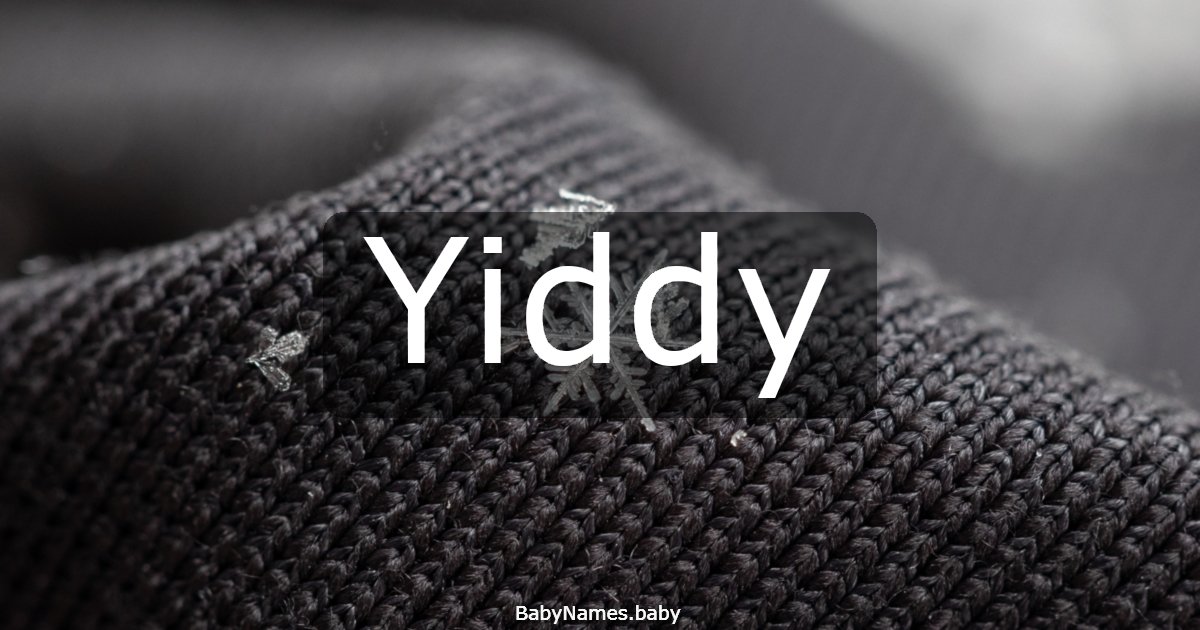 Yiddy