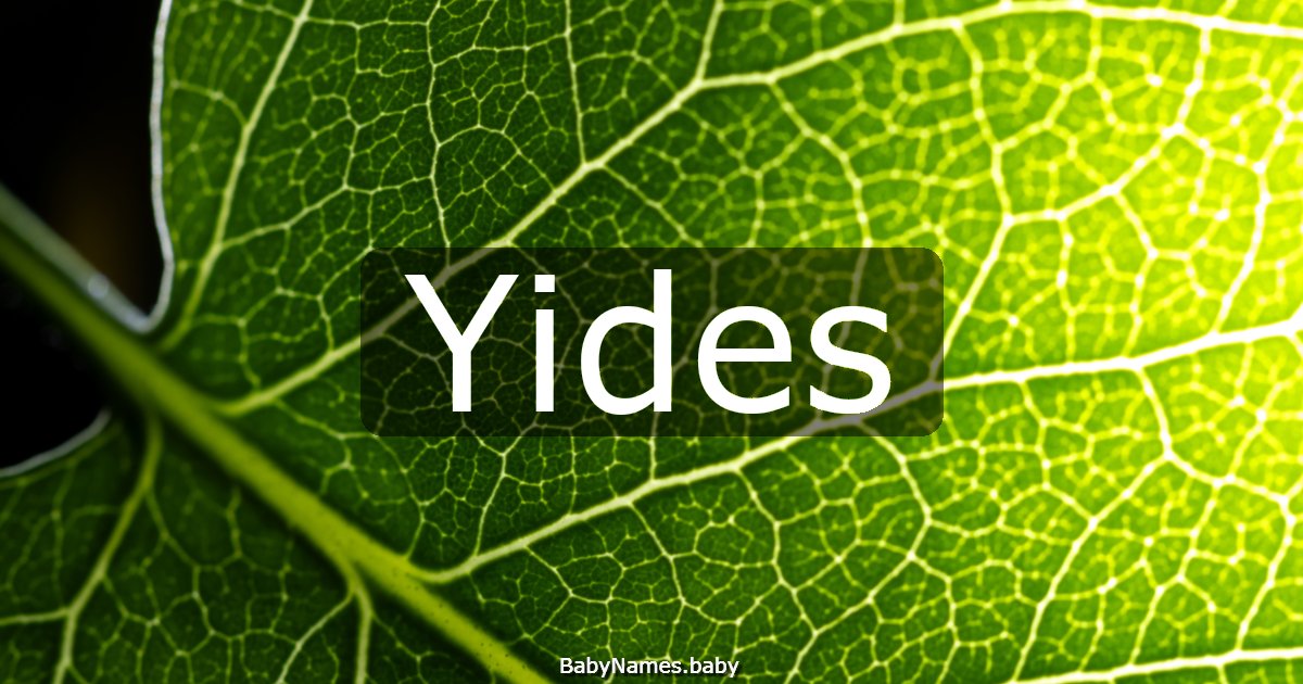 Yides