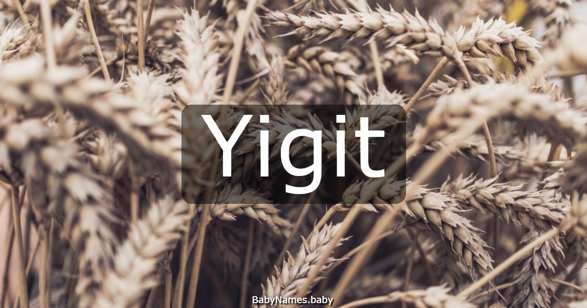 Yigit