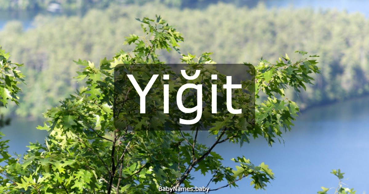 Yiğit