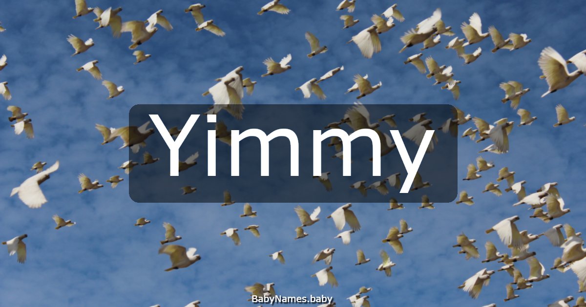 Yimmy