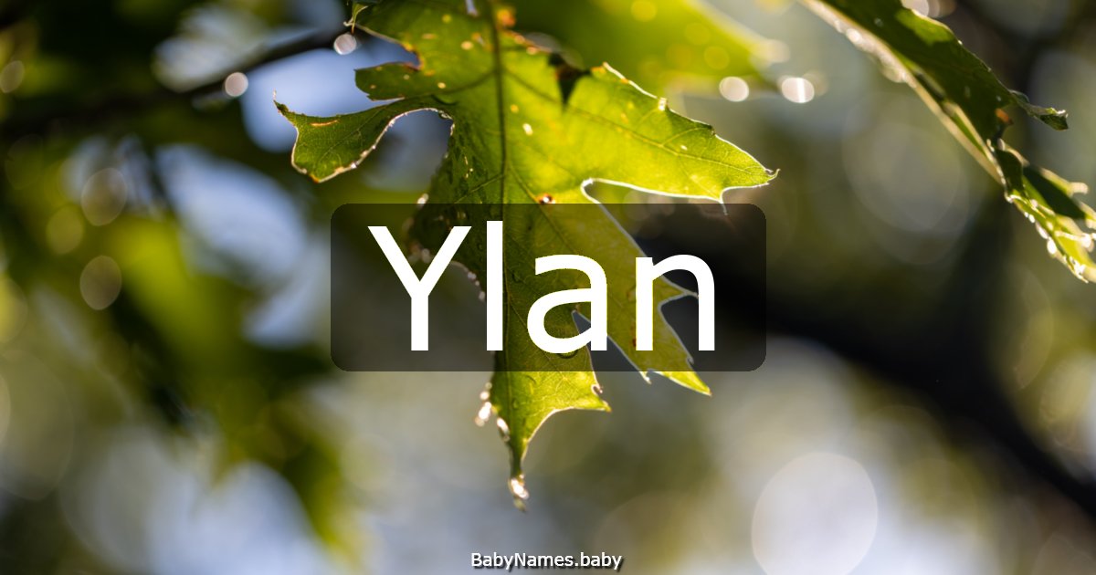 Ylan
