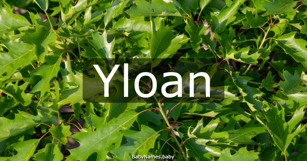 Yloan