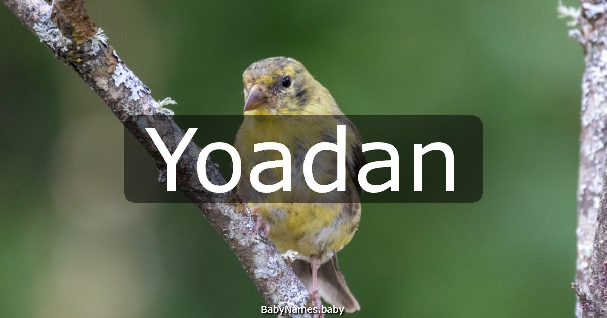 Yoadan