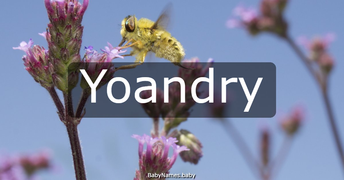 Yoandry