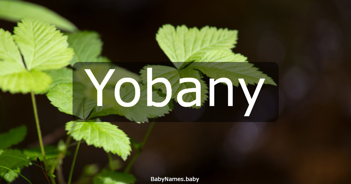Yobany