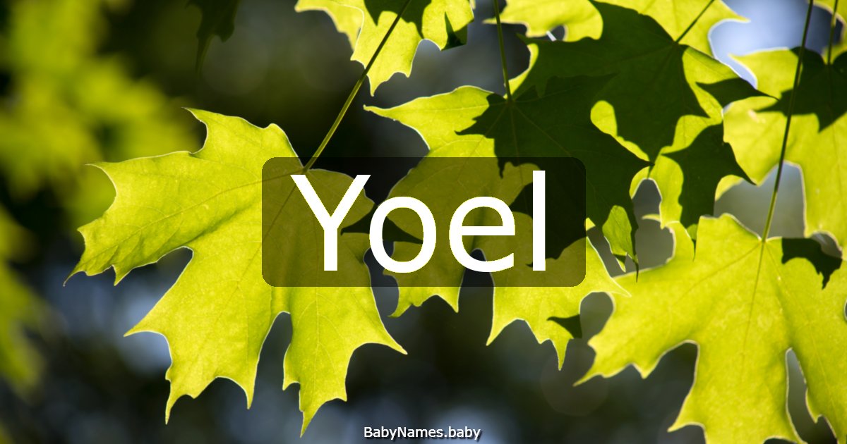 Yoel