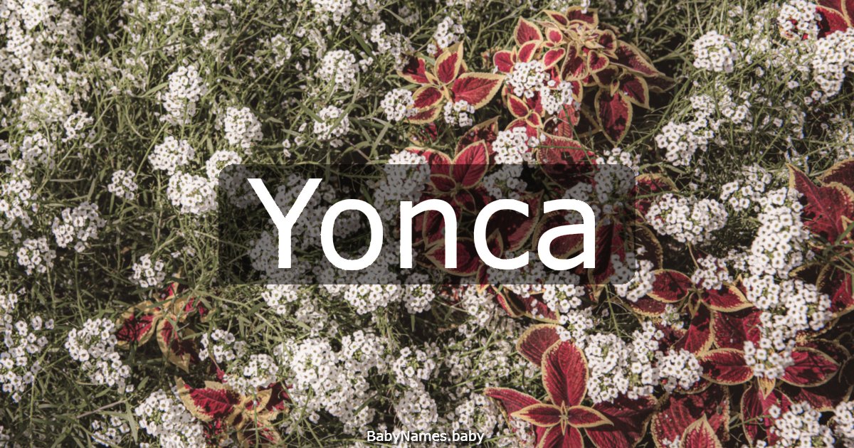 Yonca