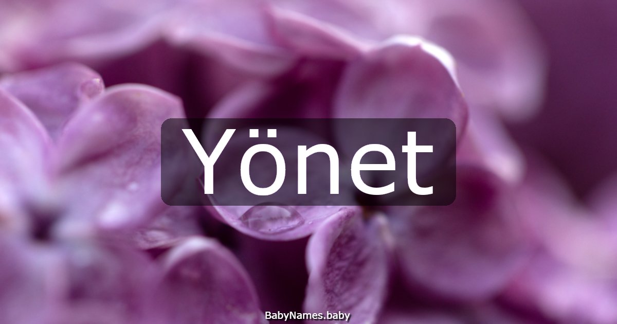 Yönet