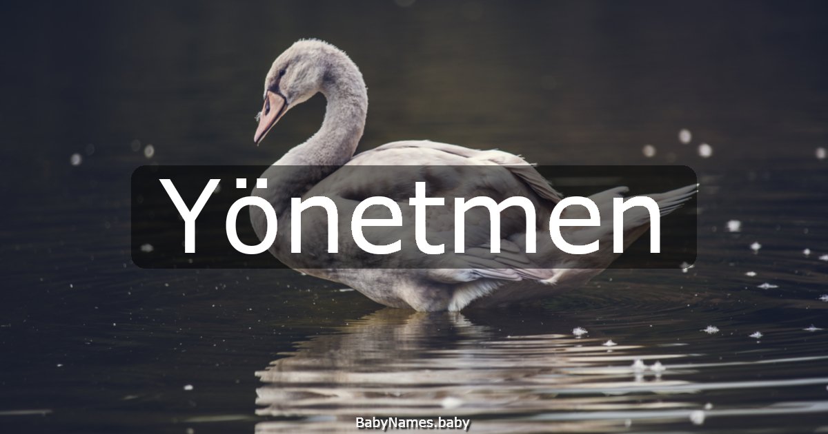 Yönetmen