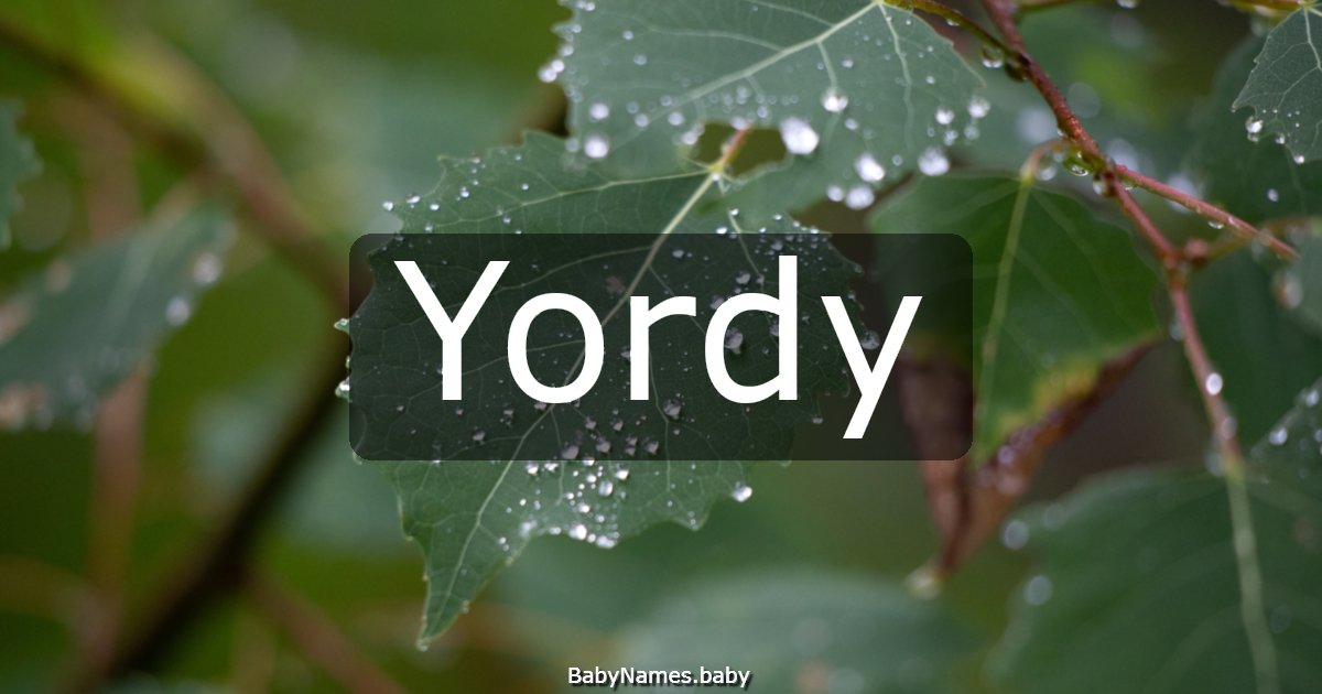 Yordy