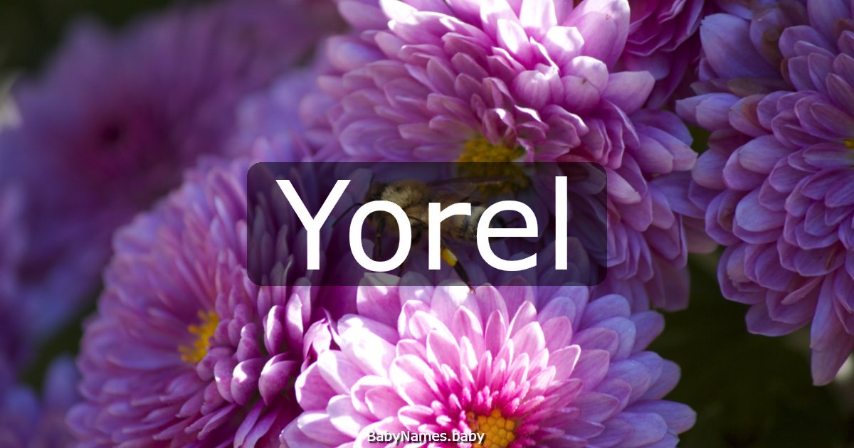 Yorel