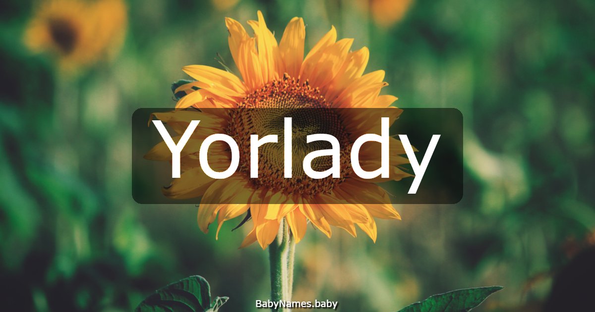 Yorlady