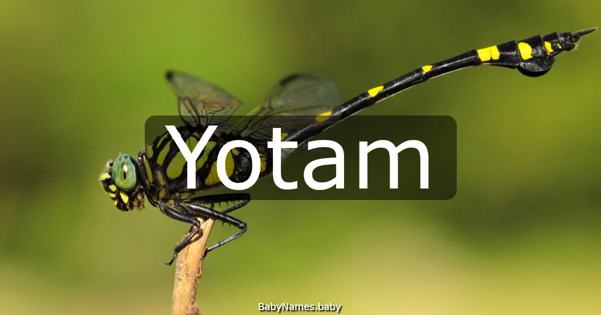 Yotam