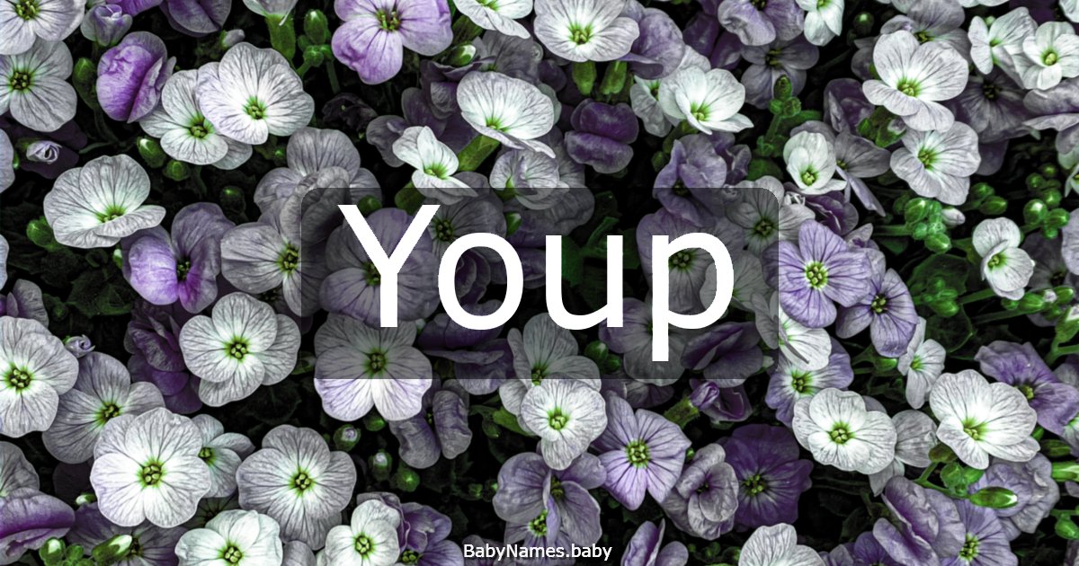 Youp