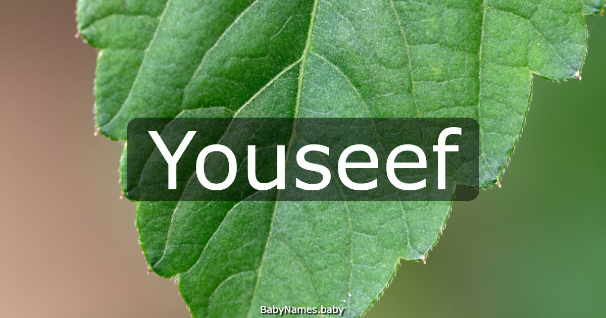 Youseef