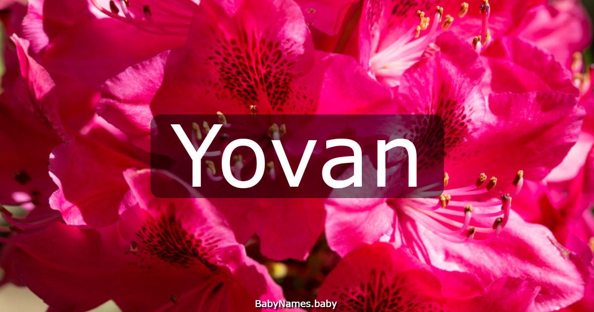 Yovan