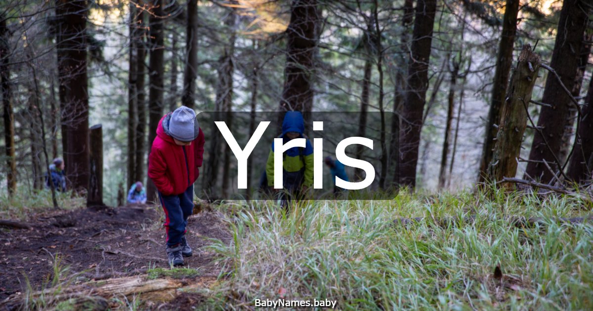 Yris