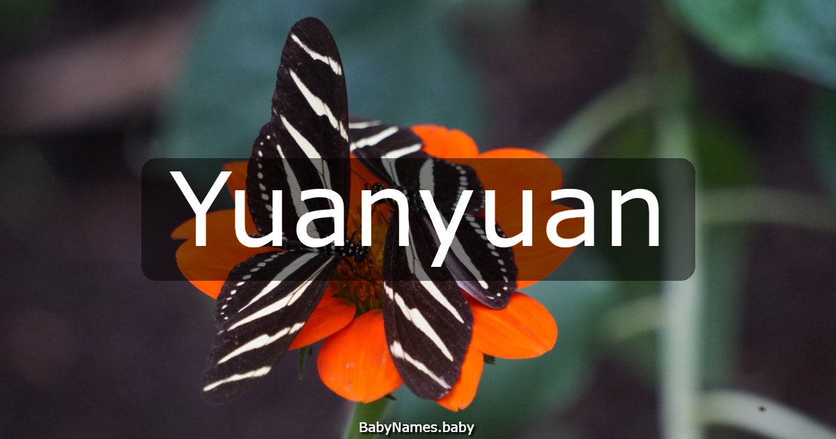Yuanyuan