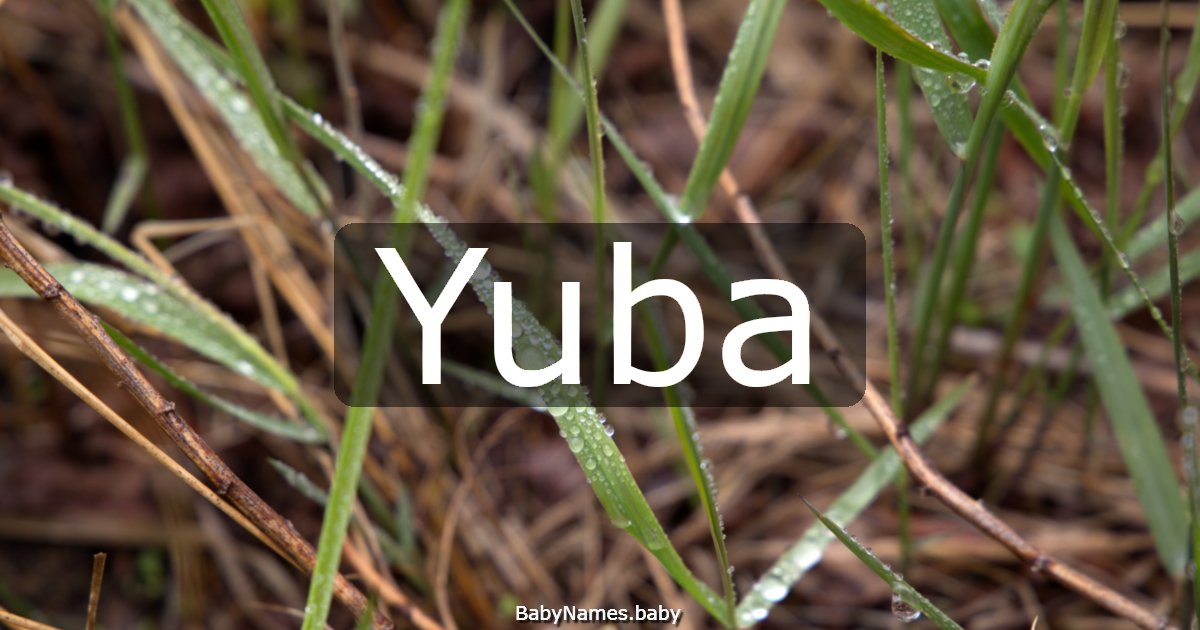 Yuba