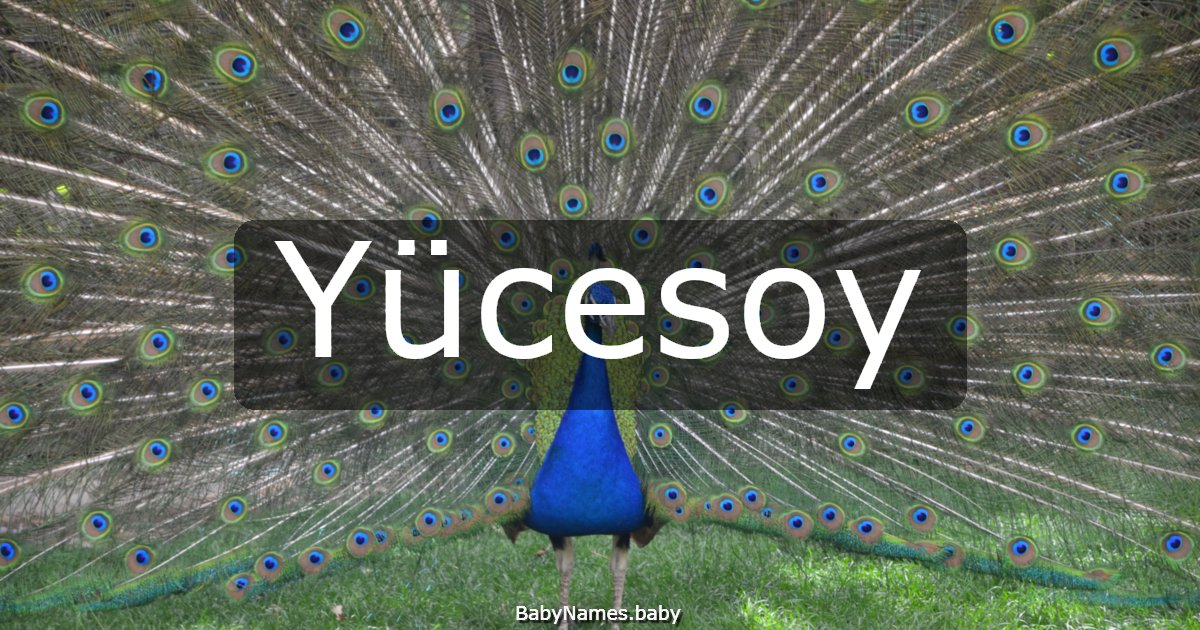 Yücesoy