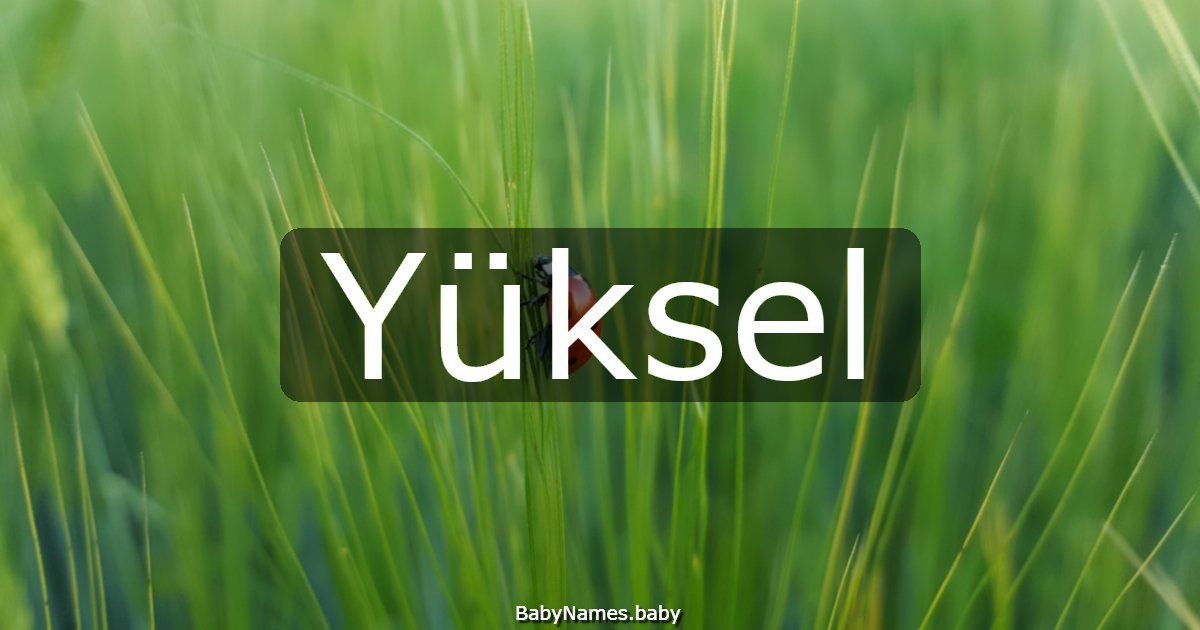 Yüksel