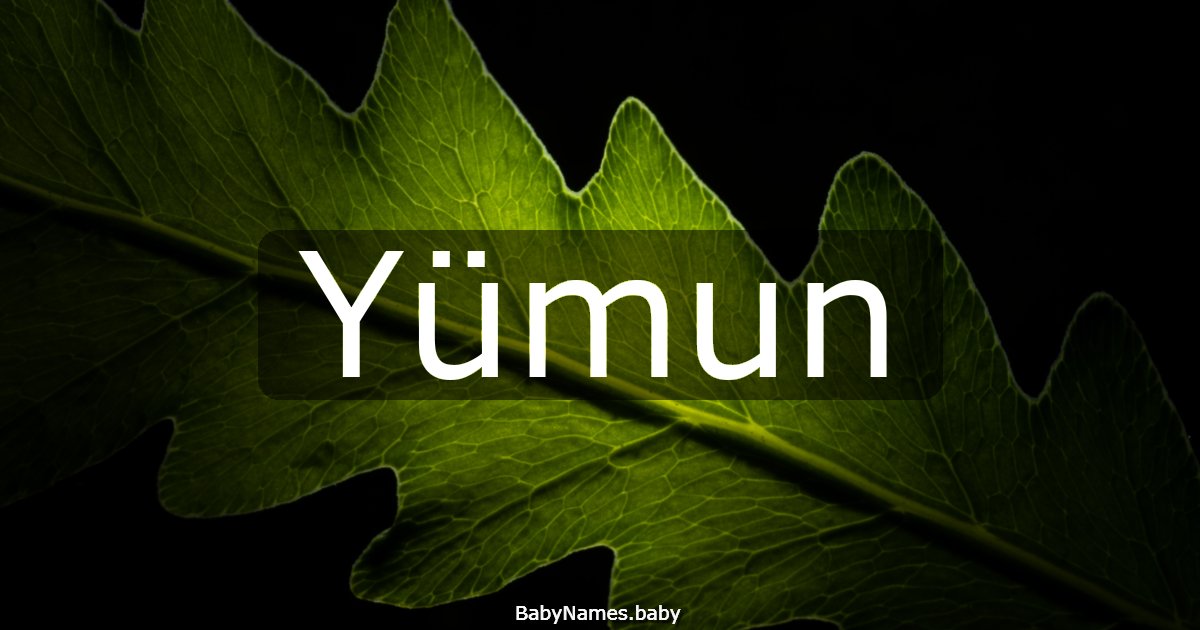 Yümun
